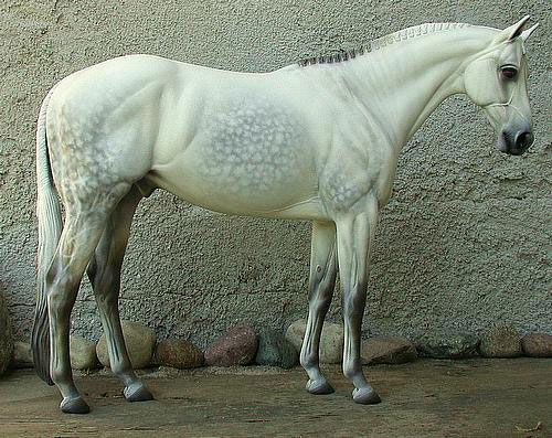 Venator painted by Tom Bainbridge