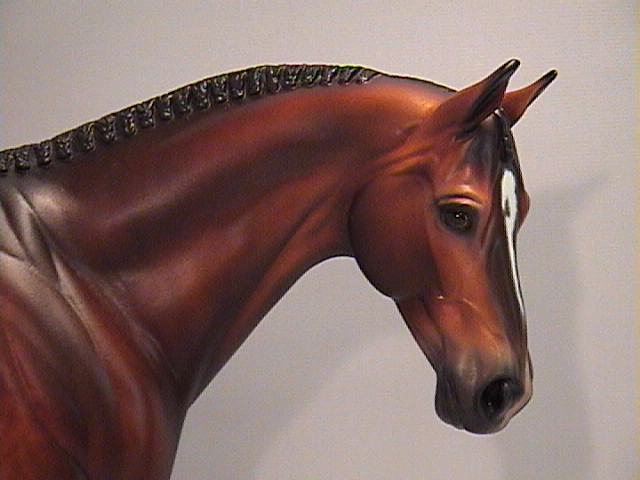 Venator painted by Carolyn Boydston