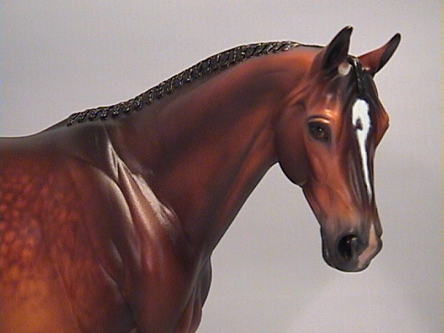 Venator painted by Carolyn Boydston