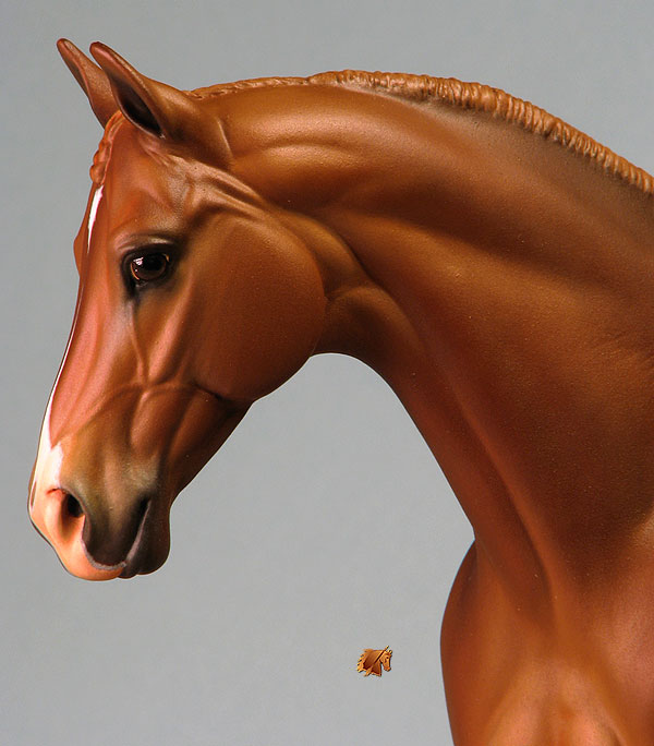 Venator painted by Carol Williams