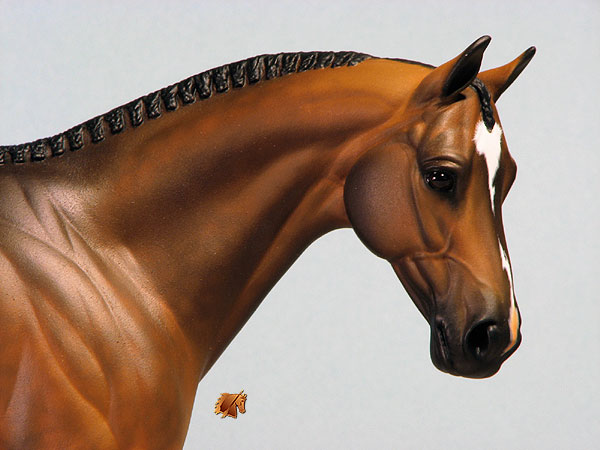 Venator painted by Carol Williams