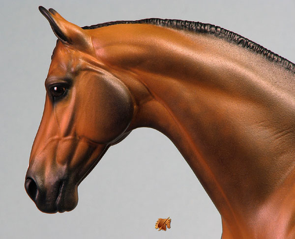 Venator painted by Carol Williams