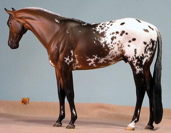 Venator painted by Carol Williams