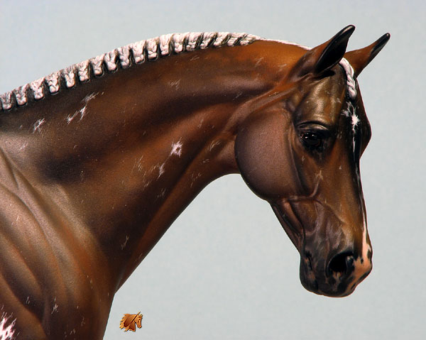 Venator painted by Carol Williams