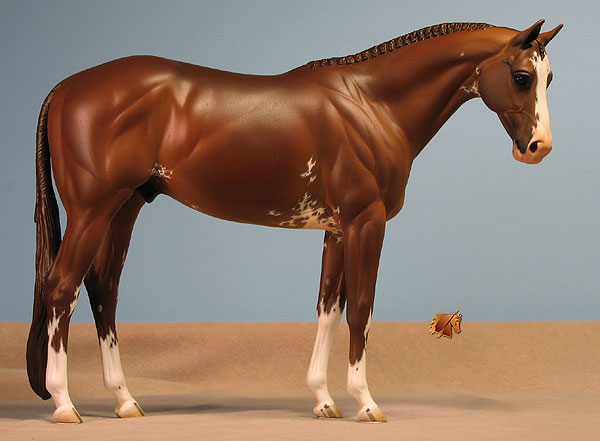 Venator painted by Carol Williams