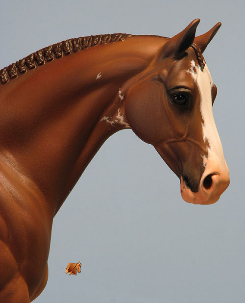 Venator painted by Carol Williams