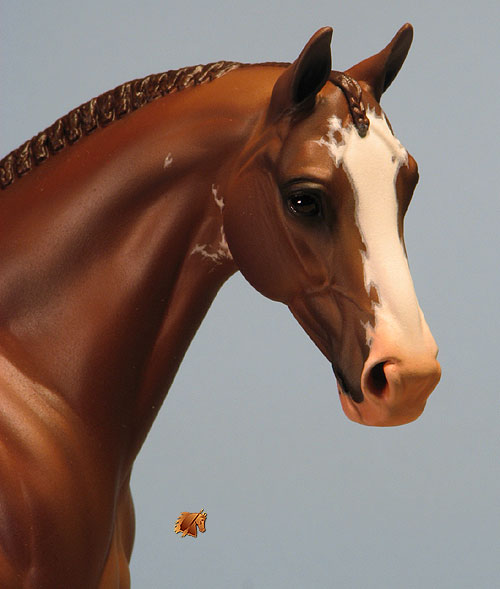 Venator painted by Carol Williams