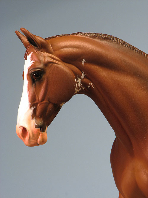 Venator painted by Carol Williams