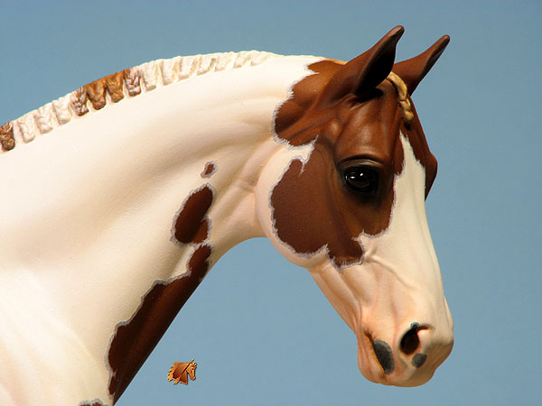 Venator painted by Carol Williams