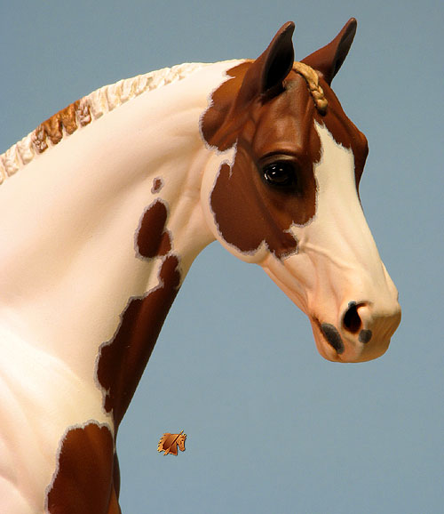 Venator painted by Carol Williams