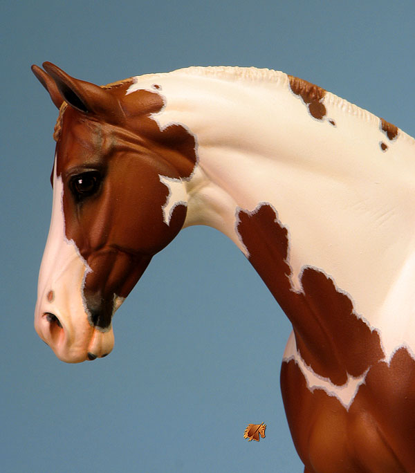 Venator painted by Carol Williams