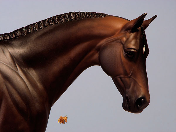 Venator painted by Carol Williams