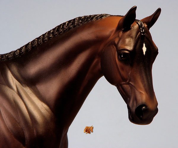 Venator painted by Carol Williams