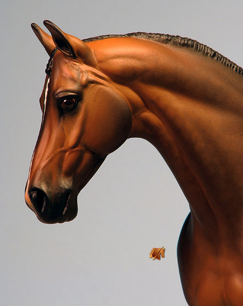 Venator painted by Carol Williams