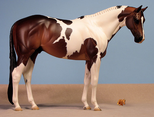 Venator painted by Carol Williams