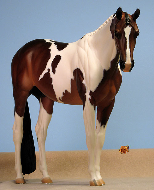 Venator painted by Carol Williams