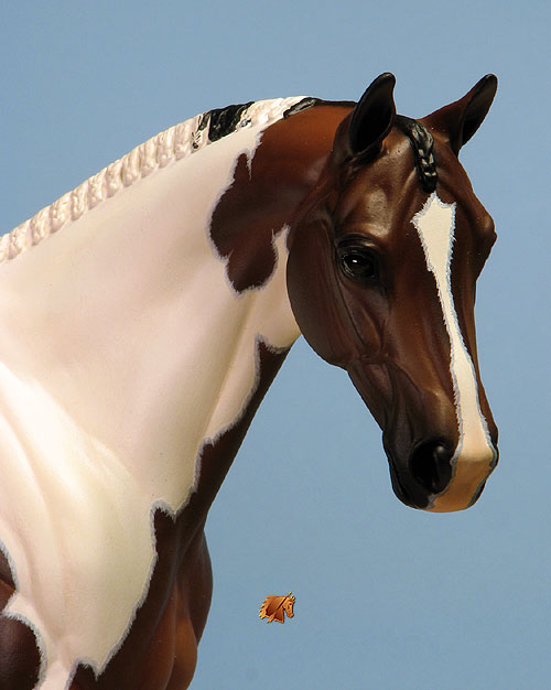 Venator painted by Carol Williams