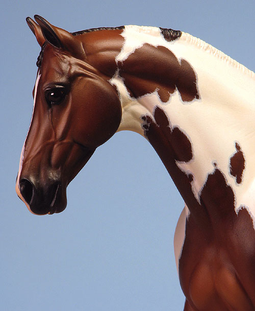 Venator painted by Carol Williams