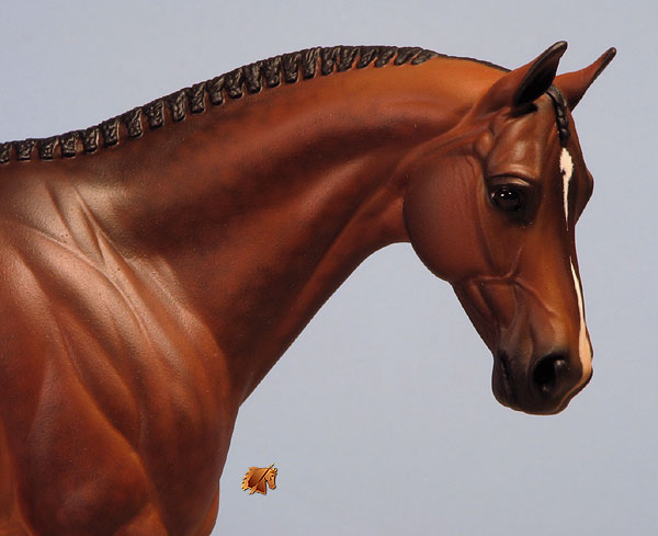 Venator painted by Carol Williams