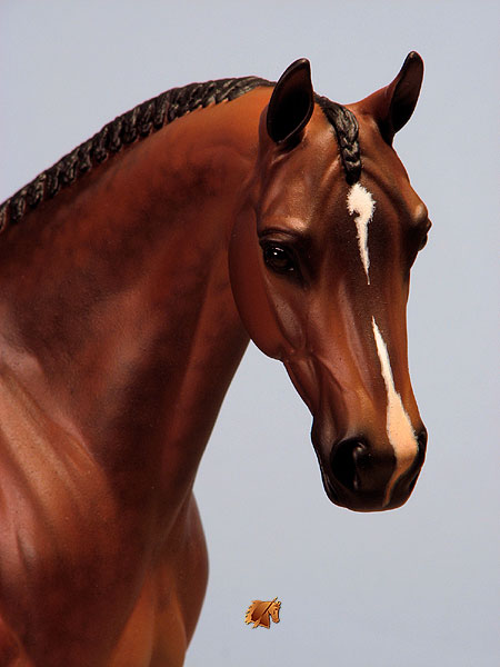 Venator painted by Carol Williams