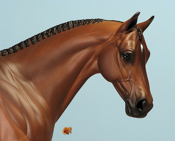 Venator painted by Carol Williams