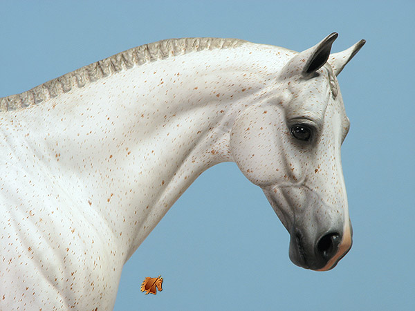 Venator painted by Carol Williams