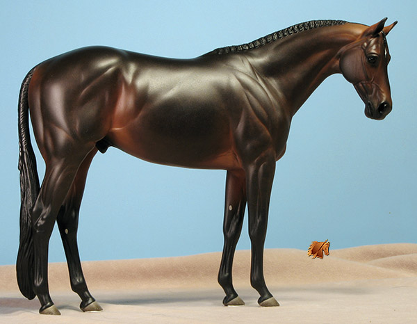 Venator painted by Carol Williams