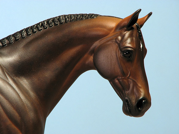 Venator painted by Carol Williams