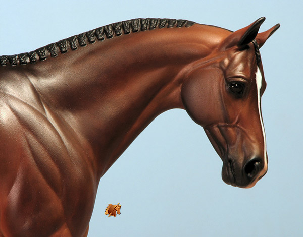 Venator painted by Carol Williams