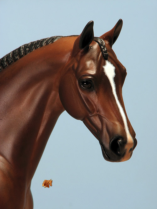 Venator painted by Carol Williams