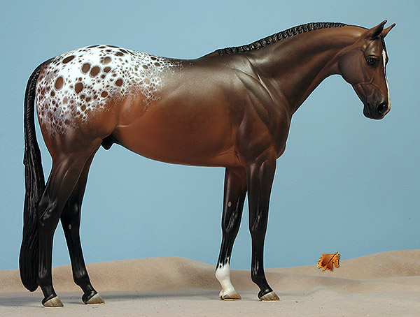 Venator painted by Carol Williams