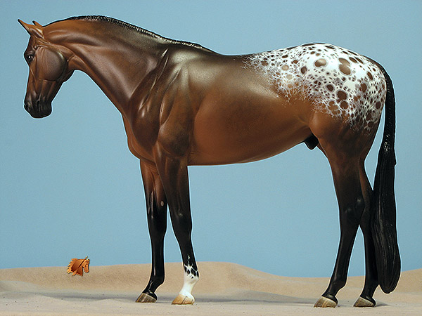 Venator painted by Carol Williams