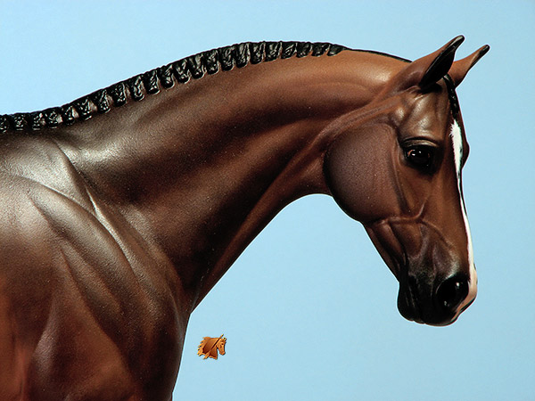 Venator painted by Carol Williams