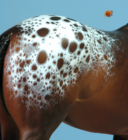 Venator painted by Carol Williams