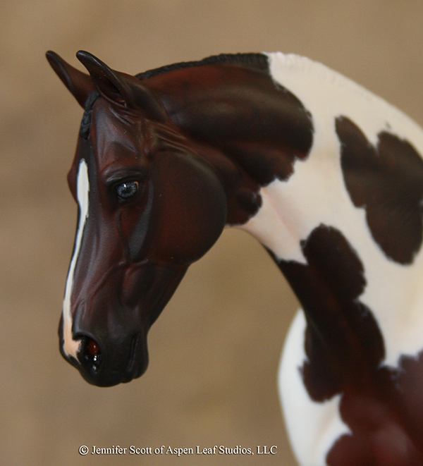 Venator painted by Jennifer Scott