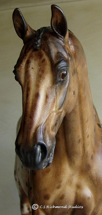 Venator painted by Sandra Hottinger