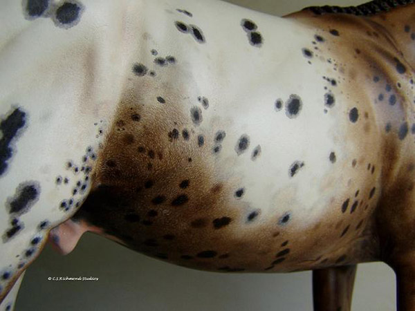 Venator painted by Sandra Hottinger