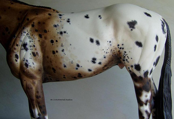 Venator painted by Sandra Hottinger