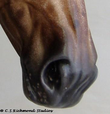 Venator painted by Sandra Hottinger