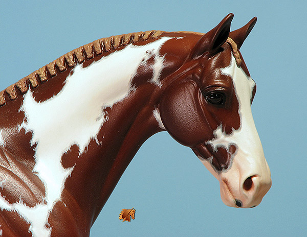 Venator painted by C Williams