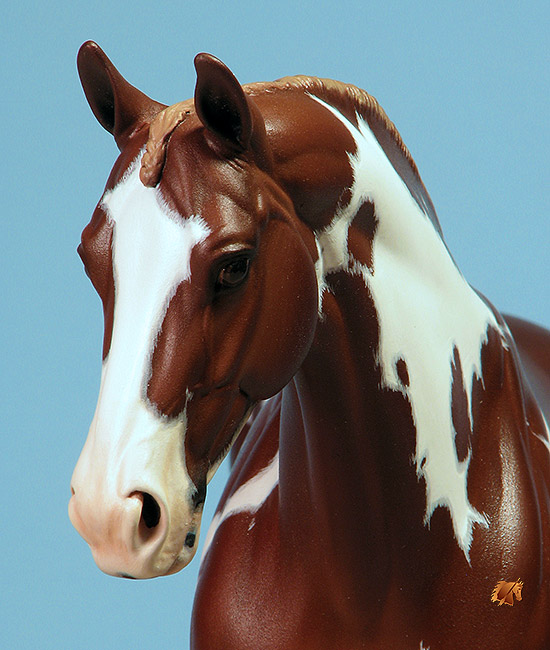 Venator painted by C Williams