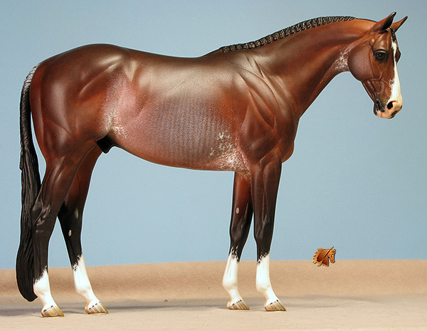 Venator painted by C Williams