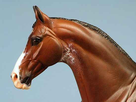 Venator painted by C Williams