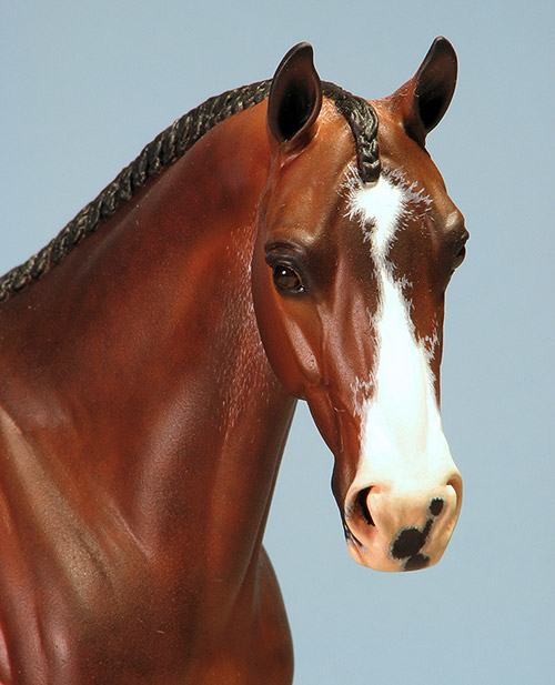 Venator painted by C Williams