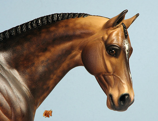 Venator painted by C Williams