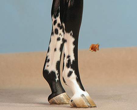 Venator painted by C Williams