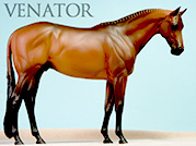 Venator - Thoroughbred Hunter Gelding Resin-Cast Sculpture