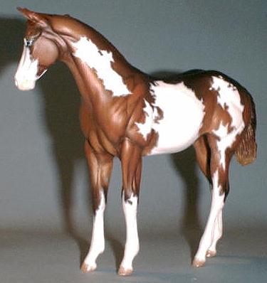 Weanling Painted by Tracie Caller