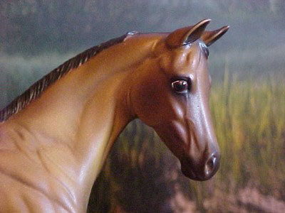 Weanling Painted by Ronni Marcum