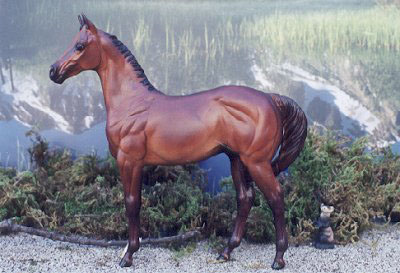 Weanling Painted by Ronni Marcum